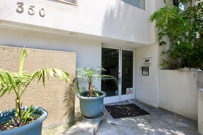 Norton Townhouse in hancock park city, California entrance view with beautiful glass door and light blue colored plant vases and lots of greenery.