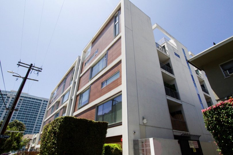 The Hollywood is a modern building made of wood slates and stucco in a soft grey color