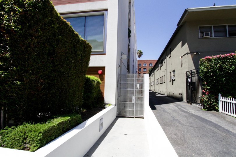 A metal gate leads to the side entrance of The Hollywood