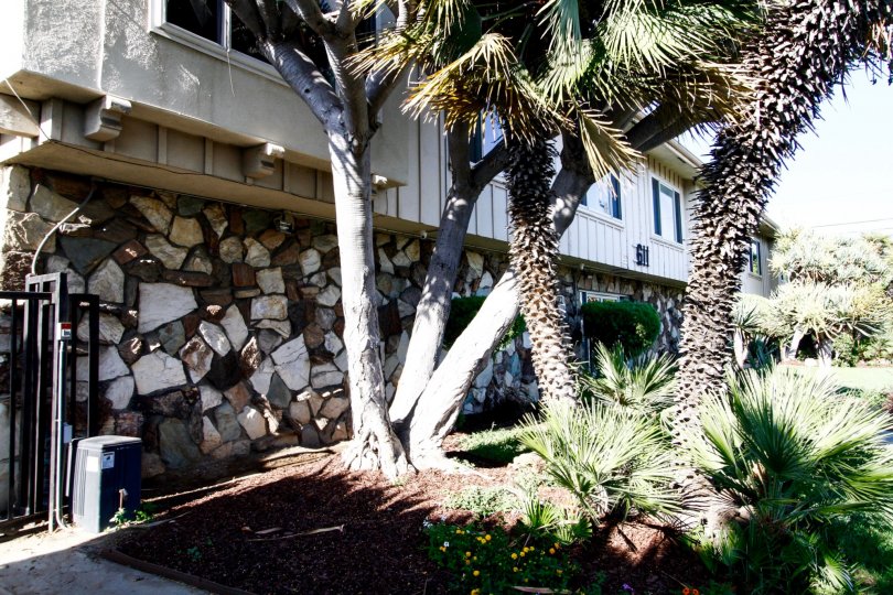 The landscaping at Care Free Place in Inglewood