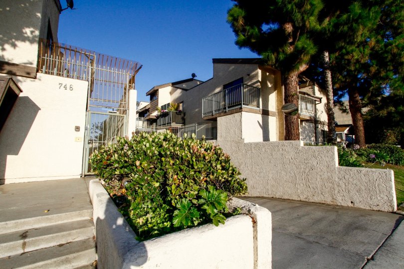 The side entrance into Colony Village