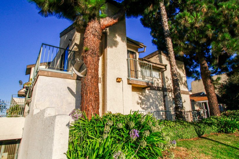The landscaping seen at Colony Village