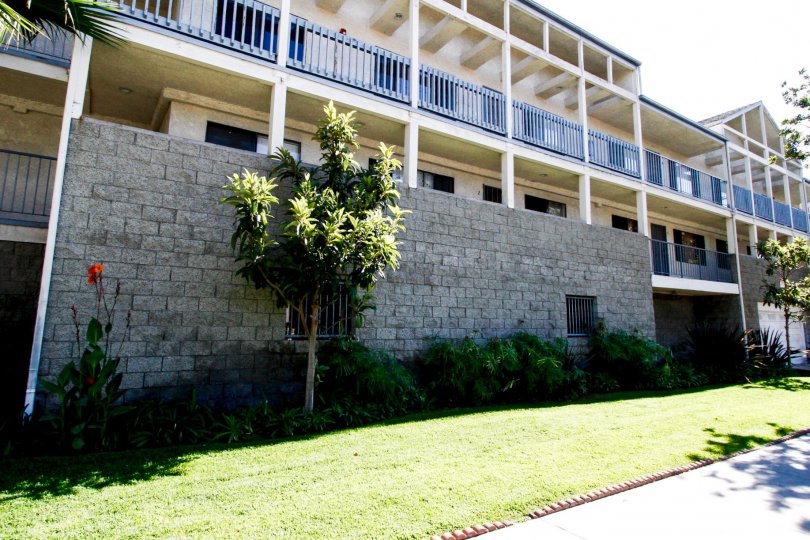 The sidewalk in front of the Grevillea Townhomes