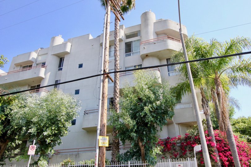 The Wellington Grande Apartment Rentals (Koreatown) in Los Angeles California