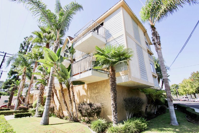 The landscaping seen around 1001 Park Avenue in Long Beach, California