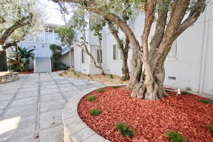 The landscaping around 1014 E Carson St
