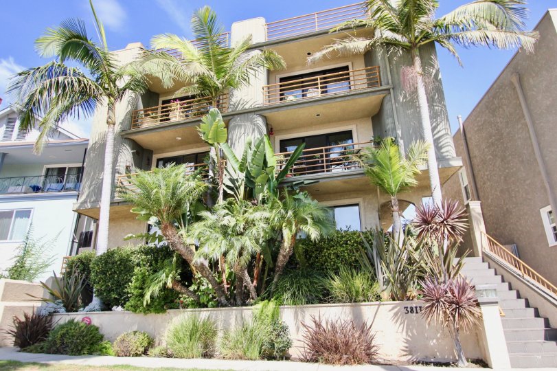 The landscaping around 3811 E Livingston Dr in Long Beach, California