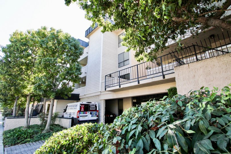 The shurbs around the Bermuda Street Condominiums building