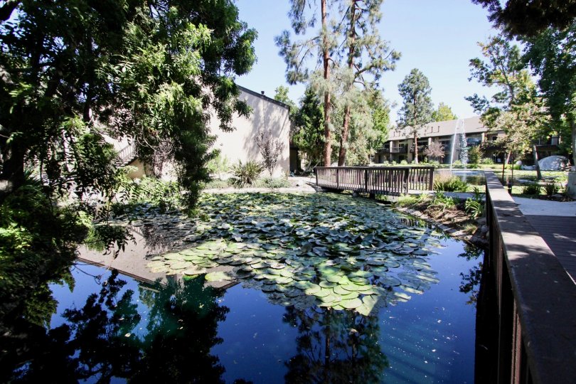 The water seen around El Dorado Lakes