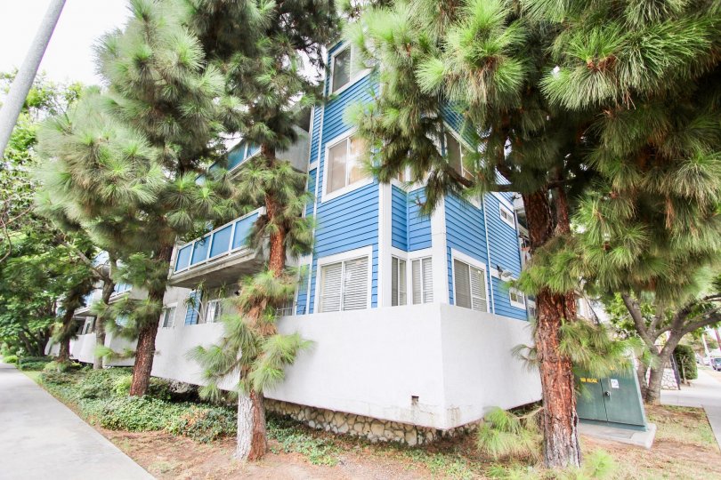 The coner of Gaviota Heights in Long Beach, California