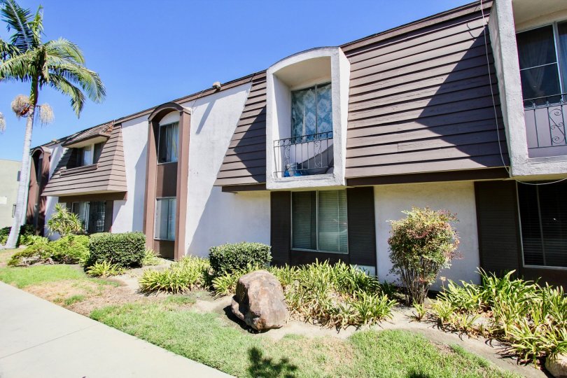The yard in front of Hampton Condominium