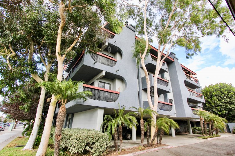 A view of an apartment building surround by trees that is located in Loma Linda, Long Beach, California.