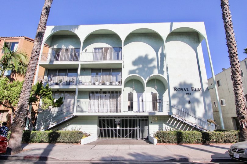 The view of Royal Elm in Long Beach, California