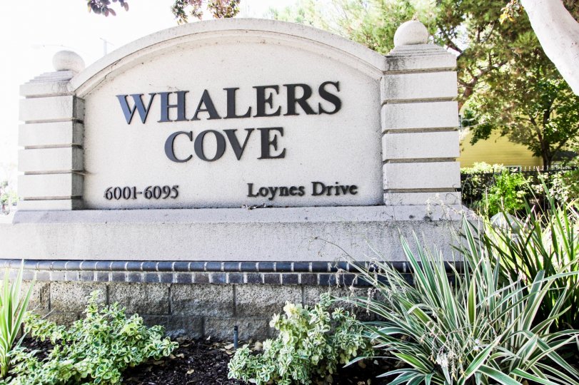 The Whalers Cove name on the sign