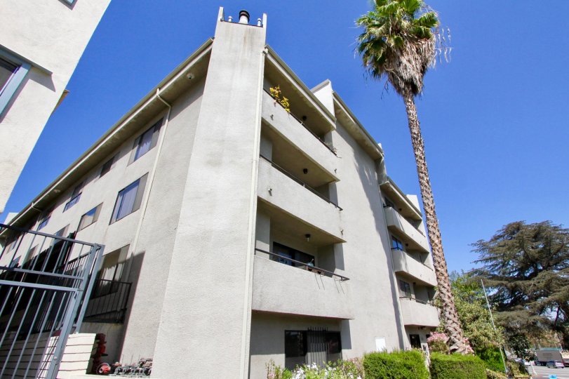 The view of Fountain View Estates in Los Feliz, California