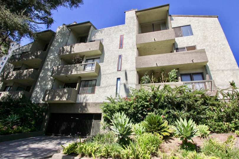 The landscaping around Los Feliz Condos