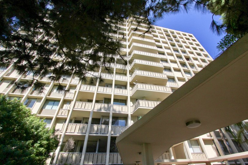 The structure of Los Feliz Towers