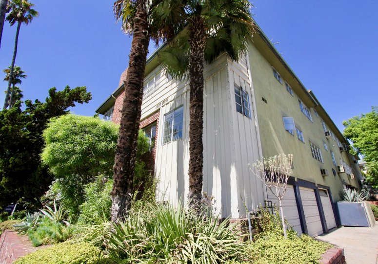 The view of the Palmhurst building