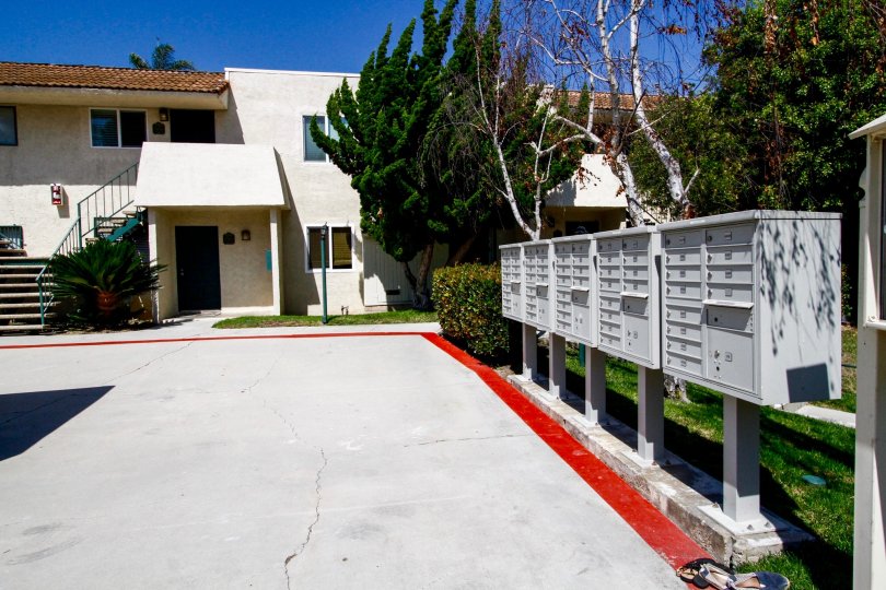 The drive into Malibu Gardens