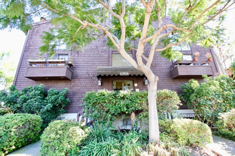 The landscaping around 12806 Pacific Ave in Mar Vista, California