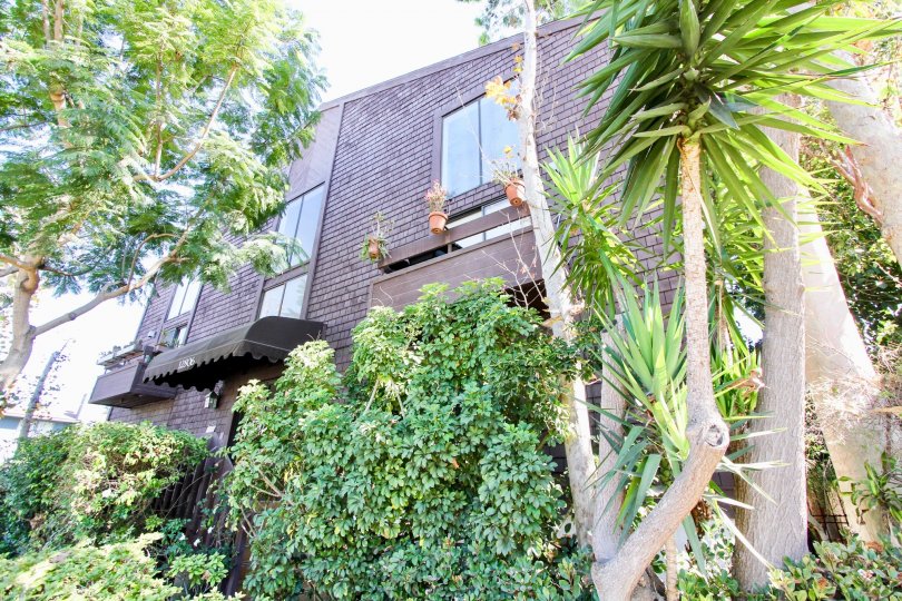 The view of 12806 Pacific Ave
