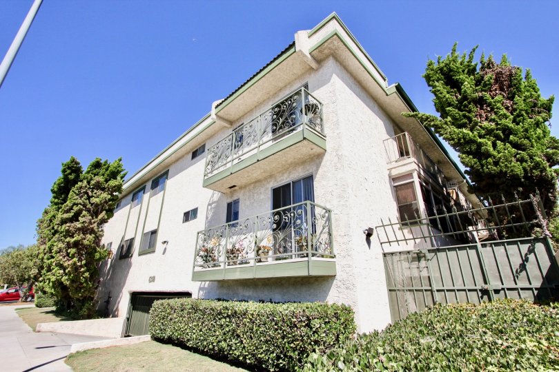 The hedges around 4350 Berryman in Mar Vista, California