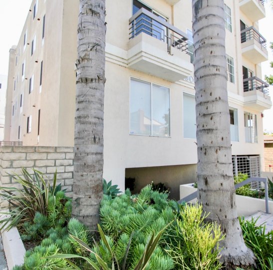 The landscaping around Avon Way Condominiums in Mar Vista, California