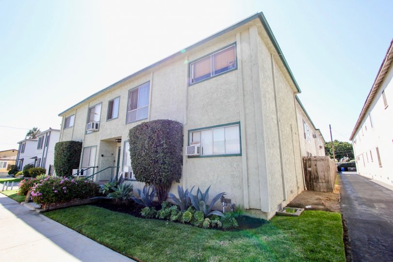 The yard in front of Blueberry Isles in Mar Vista, California