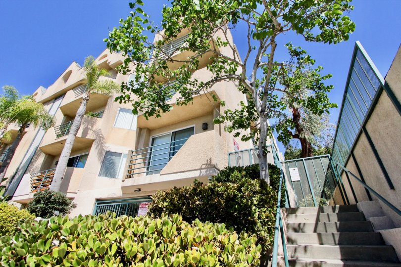 The trees around Centinela Ocean View Condos