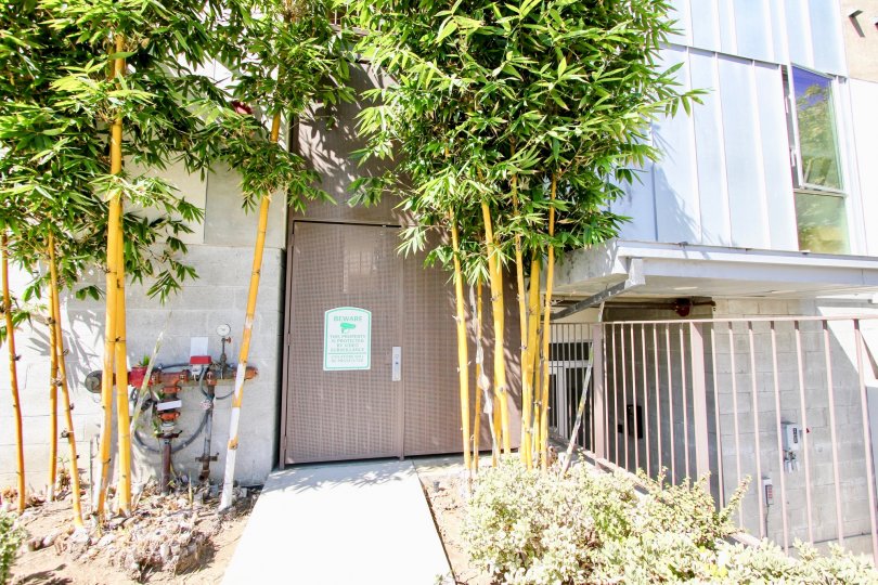 The sidewalk up to Habitat Pacific