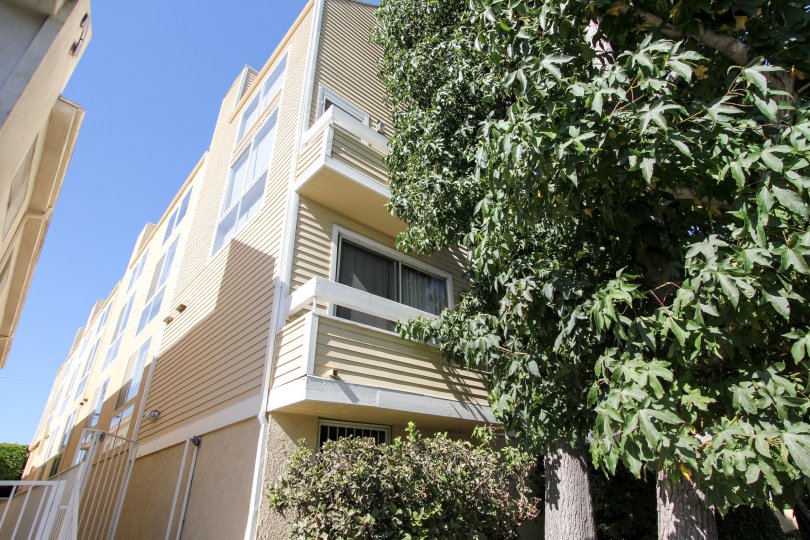 The landscaping around Mitchell Terrace in Mar Vista, California