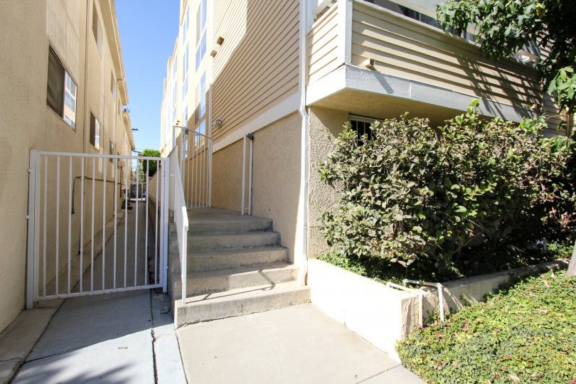 The stairs leading up to Mitchell Terrace