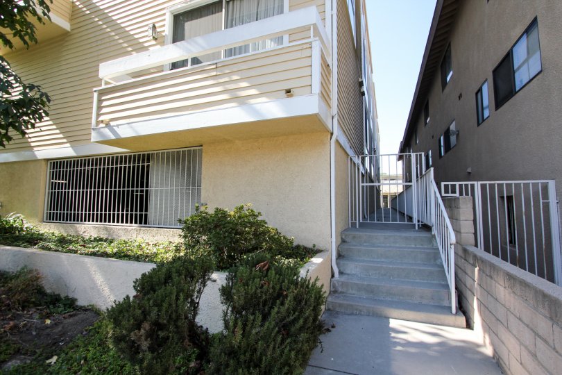 The sidewalk leading up to Mitchell Terrace