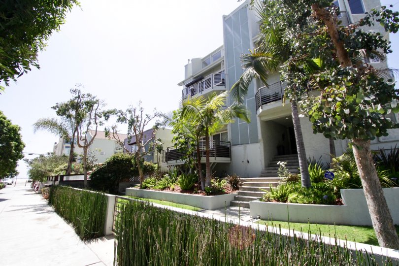 The landscaping at 27 Ironsides