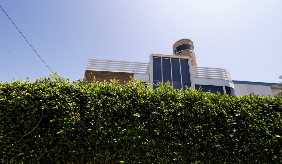 The hedges around 28 Mast in Marina Del Rey