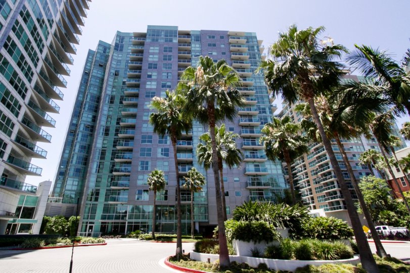 The landscaping at Azzurra in Marina Del Rey