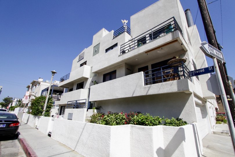 The landscaping of the Driftspeed in Marina Del Rey