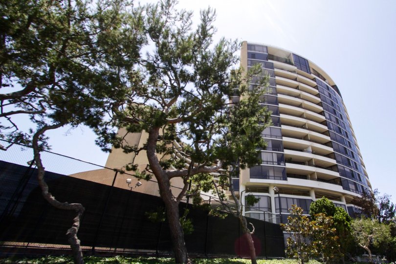 The landscaping of Marina City Club