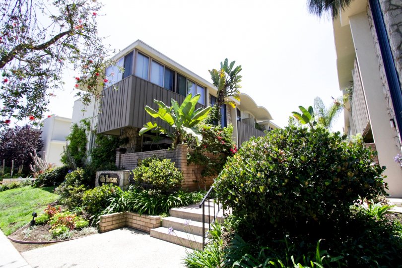 The landscaping in the Villa Romano in Marina Del Rey