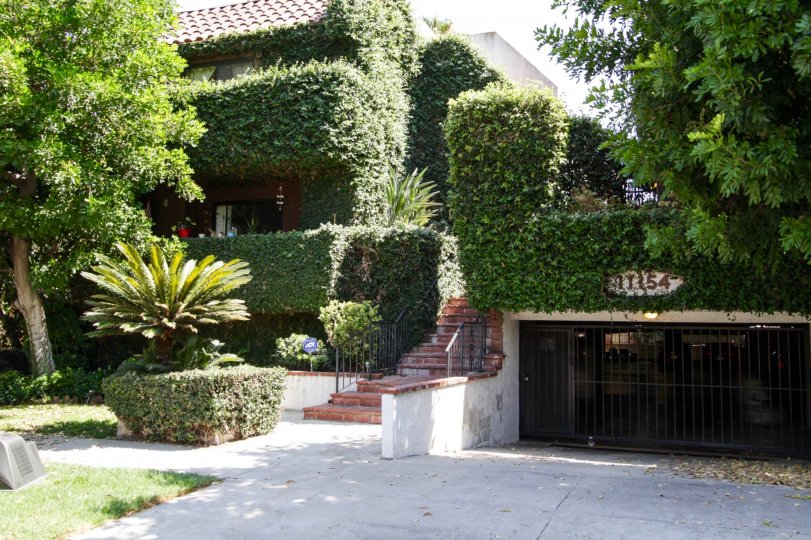 The beautiful landsacping of 11154 Huston St in North Hollywood