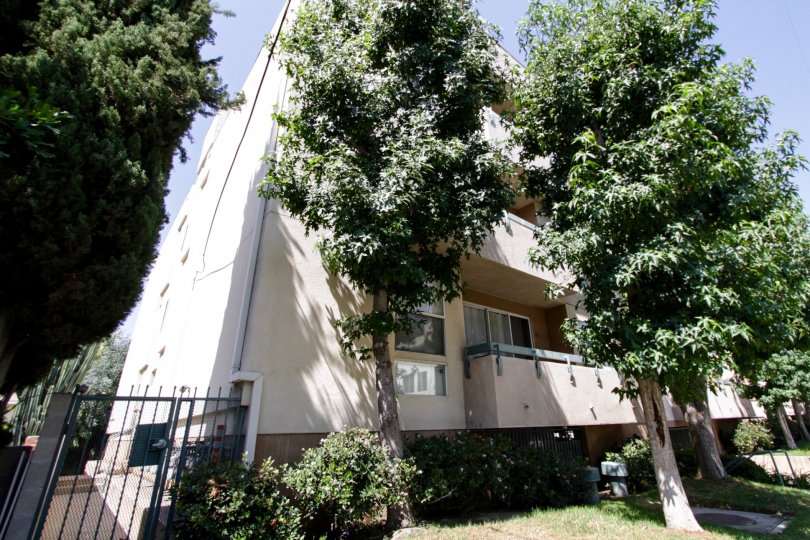 The landscaping at 11225 Peach Grove St in North Hollywood