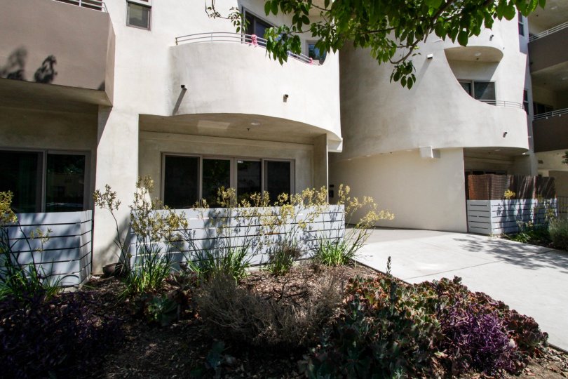 The landscaping at Bakman Court in North Hollywood