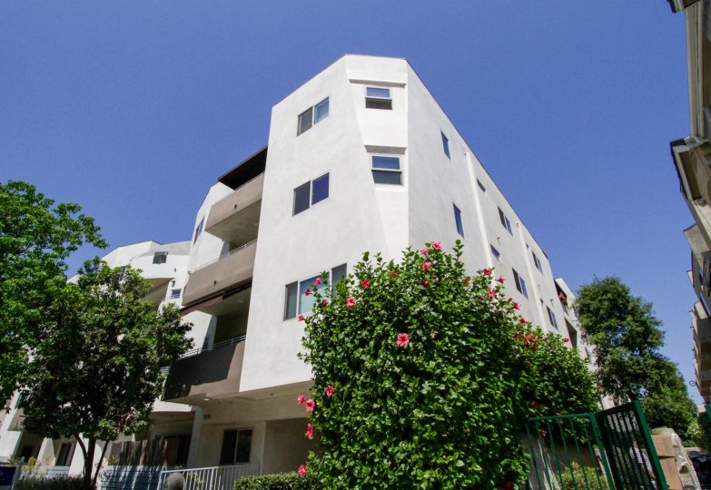 The unique Bakman Court building in North Hollywood