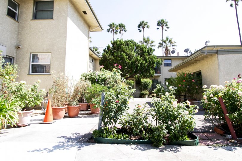 The landscaping around the Cahuenga Gardens