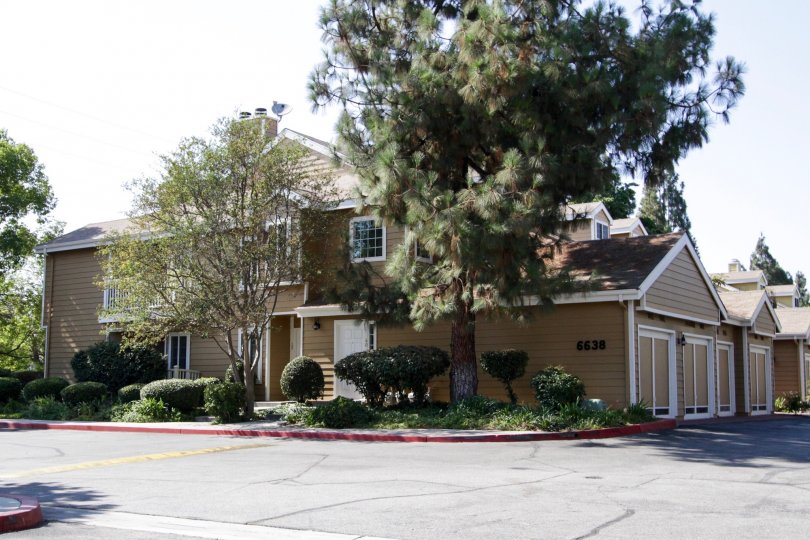 The landscaping around Cambridge Glen in North Hollywood