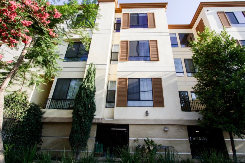 The view of the Laurel Bliss in North Hollywood