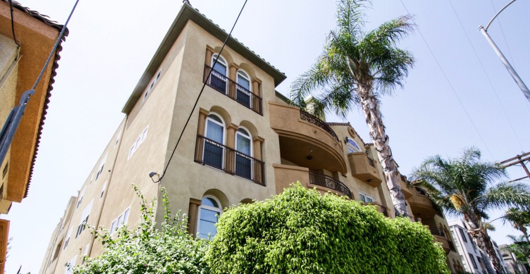 The arched windows at the Laurel Palms