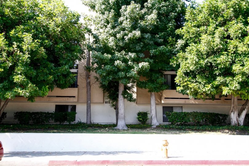The landscaping around College Court Townhomes