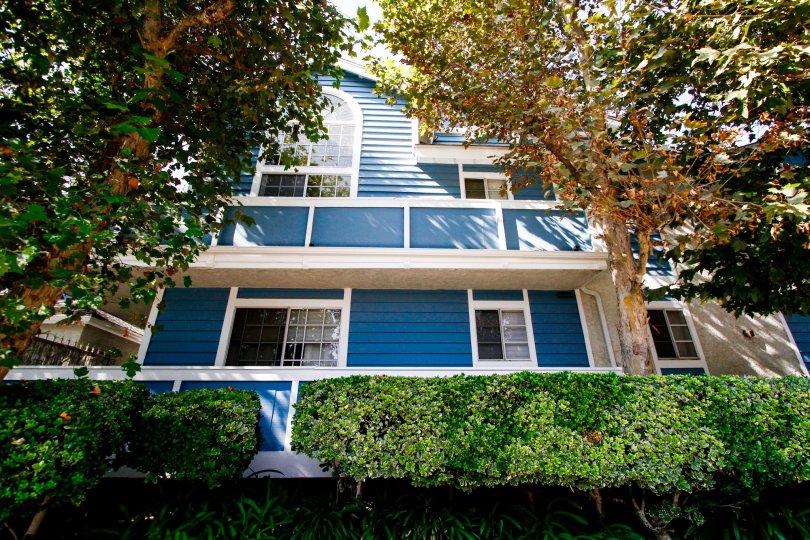 The hedges around Stratford Condominiums
