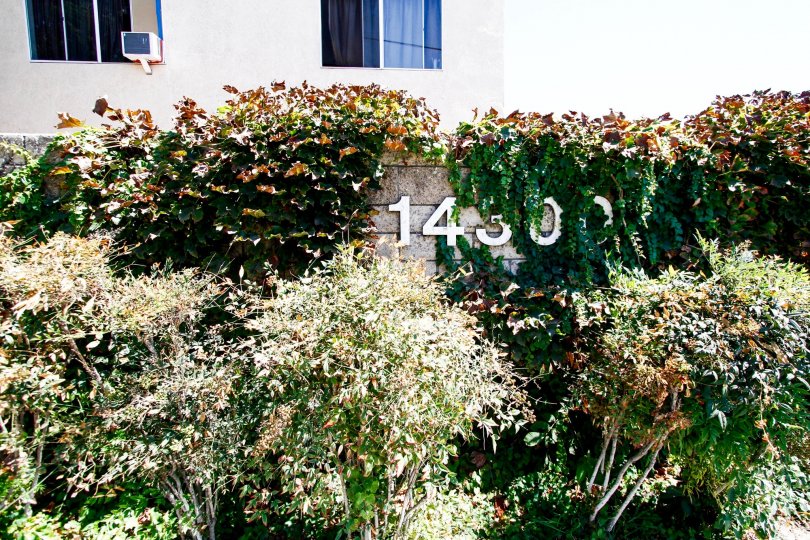 The landscaping seen around Terra Bella Patio Homes